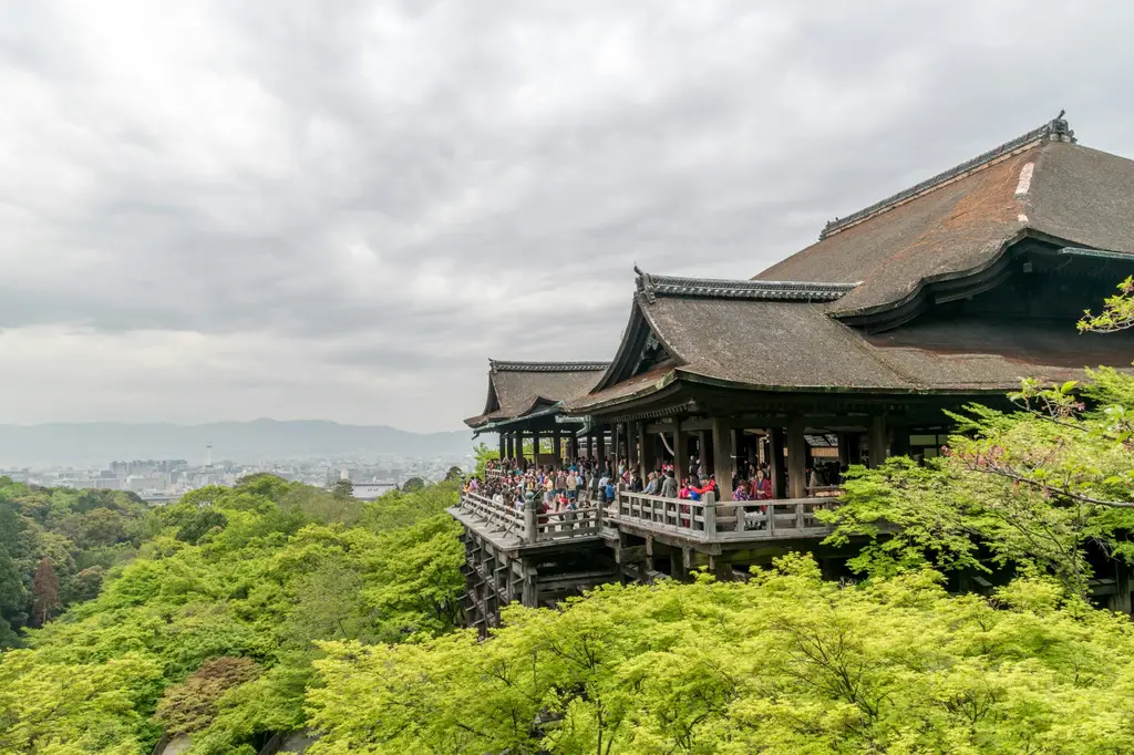 福岡之旅：九洲之都的文化體驗